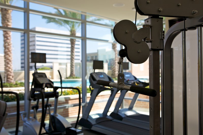 Gym with exercise machines, treadmills, and a view of palm trees through large windows.